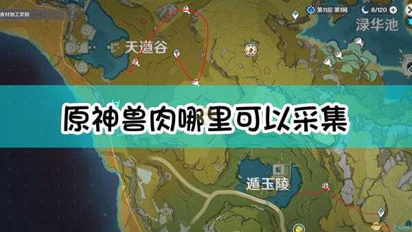 《原神》兽肉采集路线图分享