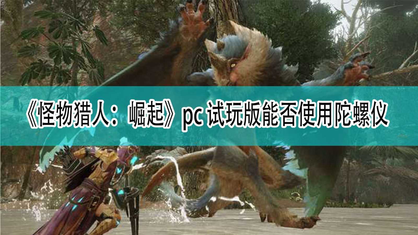 《怪物猎人：崛起》pc试玩版能否使用陀螺仪