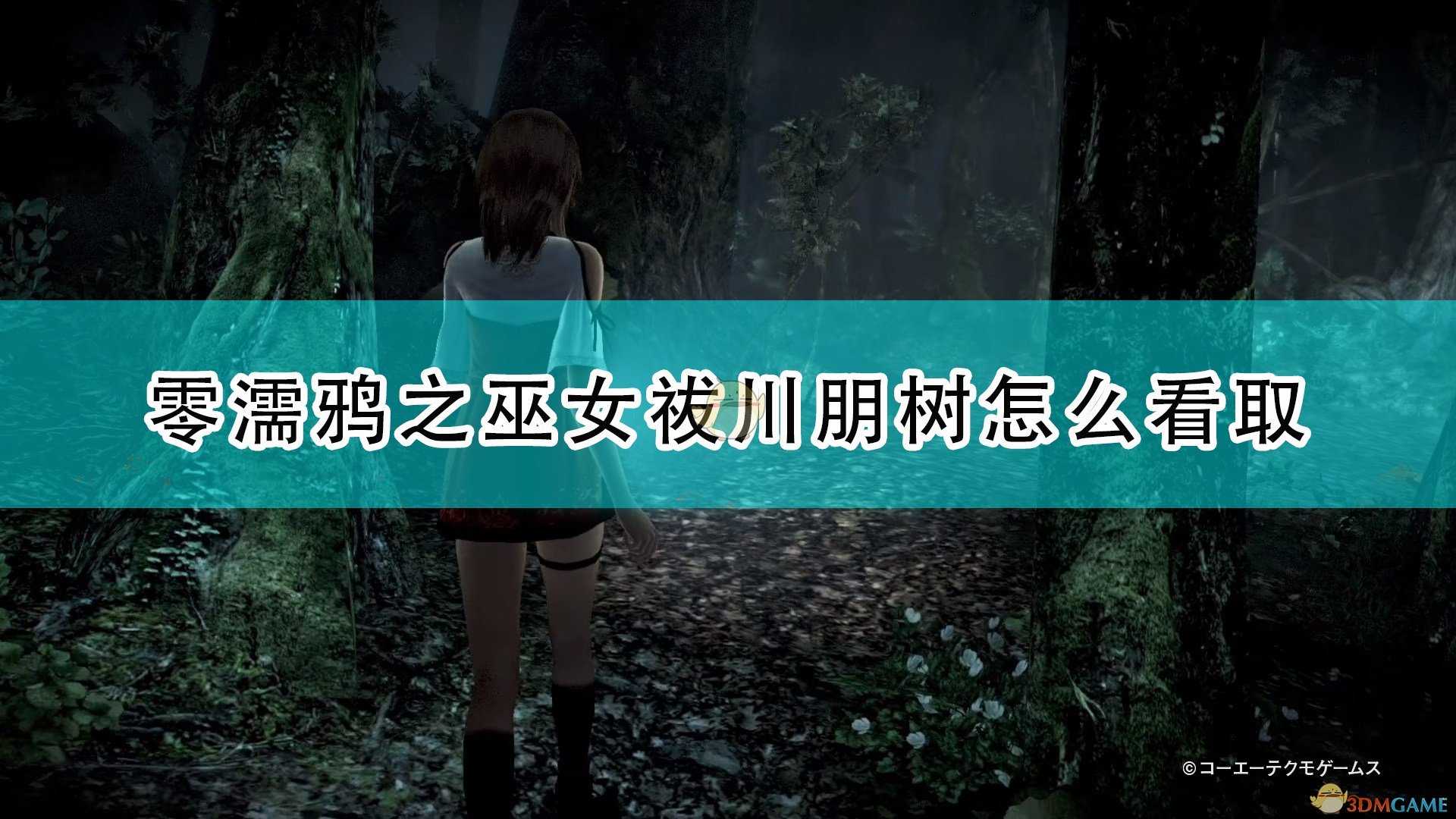 《零：濡鸦之巫女》祓川朋树看取方法推荐