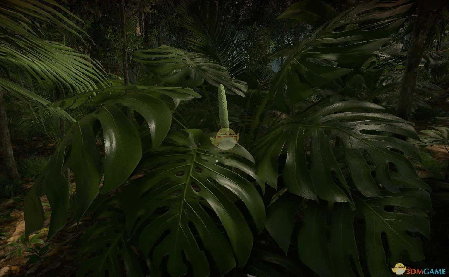 《绿色地狱》植物图鉴一览