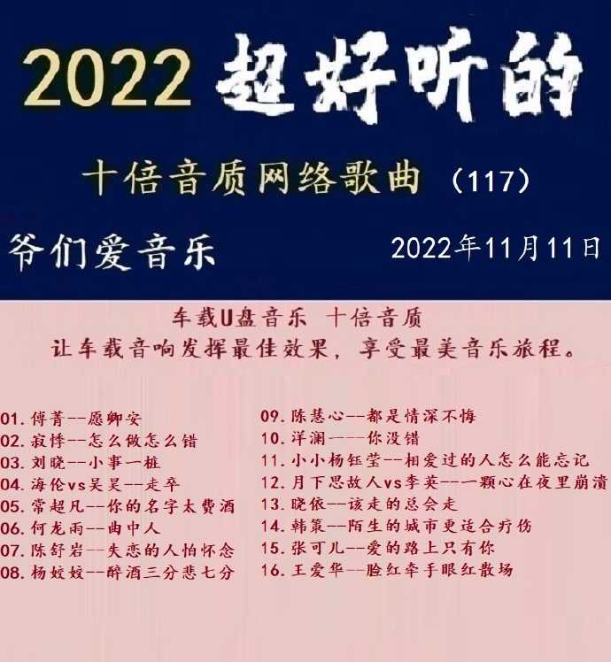 群星《2022超好听的十倍音质网络歌曲（117）》WAV分轨