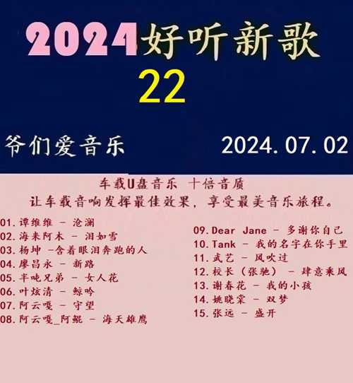 群星《2024好听新歌22》十倍音质 U盘音乐[WAV分轨]