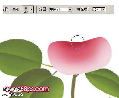 Photoshop 一朵粉红色的卡通玫瑰花