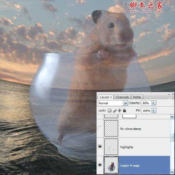 Photoshop合成制作可爱的海盗鼠船长教程