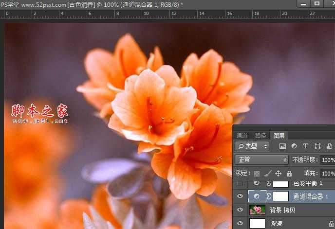 Photoshop将花卉特写图片打造具有古典韵味的黄褐色效果