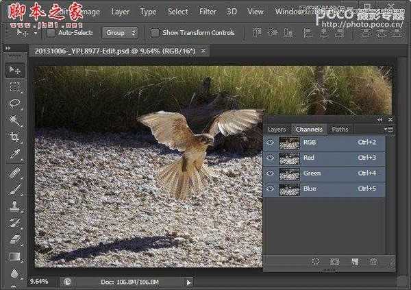 PhotoShop(PS)浅谈LAB模式下明度通道锐化方法实例教程介绍