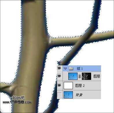 Photoshop抠图教程：通道和计算命令抠图实例