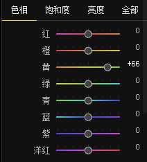 绿色风景照片PS后期系统全面的修图知识分享