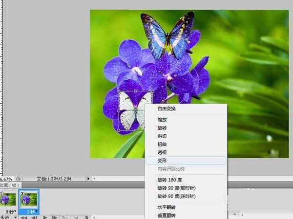 ps怎么给花朵添加蝴蝶飞舞的动画?