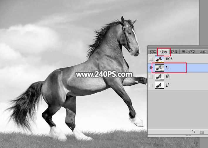 ps完美抠图快速抠出在草原上飞奔的骏马图片教程