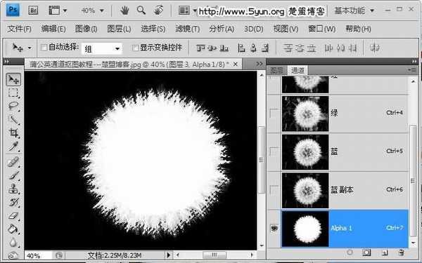 如何用ps通道来快速完成蒲公英抠图?